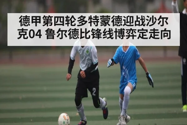 德甲第四轮多特蒙德迎战沙尔克04 鲁尔德比锋线博弈定走向